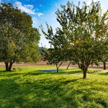 Traumhaftes Gaestehaus An Elberadweg Und Bastei * 쿠로르트라텐